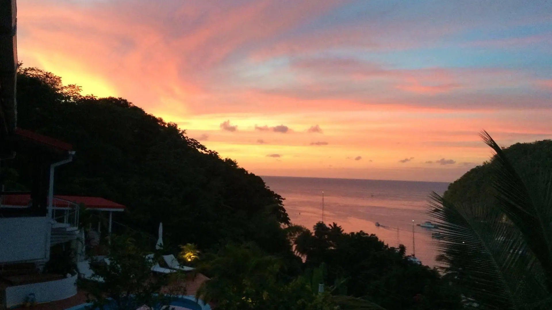 Hotel Marigot Palms Luxury Guesthouse